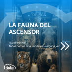 La fauna del ascensor, 1